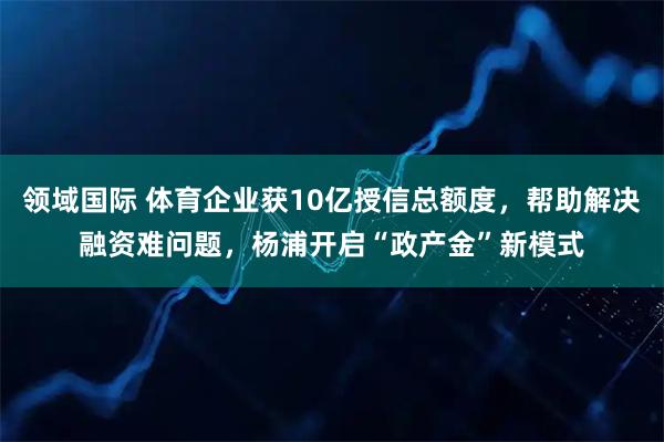 领域国际 体育企业获10亿授信总额度，帮助解决融资难问题，杨浦开启“政产金”新模式